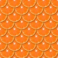 Fresh orange tangerine slices seamless pattern. Close up of citrus fruit background. Studio photography Royalty Free Stock Photo