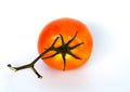 Fresh orange tomatoes, on a white background Concepts, vegetables, kitchen gardens and as a health food. Illustration - l