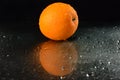 Fresh orange on a wet black background Royalty Free Stock Photo