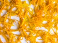 Fresh orange zest on a white plate. Raw citrus zest, grated orange peel, fresh zest on a white background Royalty Free Stock Photo