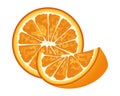 Fresh oranges citrus fruits icons
