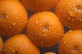 Fresh oranges on a dark background, some whole and some cut in half, covered in water droplets. Royalty Free Stock Photo