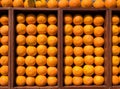 Fresh Oranges Display