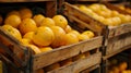 Fresh oranges displayed in rustic wooden crates Royalty Free Stock Photo