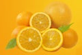 Fresh oranges fruits composition