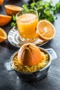 Fresh oranges juicer juice tropical fruits and herbs on concrete board Royalty Free Stock Photo