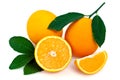 Fresh oranges and leaves Royalty Free Stock Photo