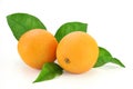 Fresh oranges with leaves Royalty Free Stock Photo
