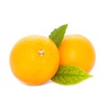 Fresh Oranges with Leaves Royalty Free Stock Photo