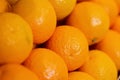 Fresh oranges on the local market Royalty Free Stock Photo