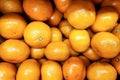 fresh oranges piled up in a box