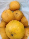 Fresh Oranges Ready to eat Royalty Free Stock Photo