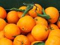 Fresh Oranges For Sale Royalty Free Stock Photo