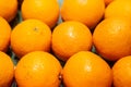 Fresh oranges in a supermarket Royalty Free Stock Photo