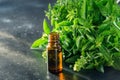 Fresh oregano in bunch and oil on black background. Close up