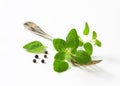 Fresh oregano sprigs on fork Royalty Free Stock Photo