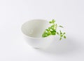 Fresh oregano in white bowl Royalty Free Stock Photo