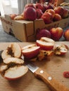 Fresh organic apples cut with paring knife on a plank - spoiled and worm eaten