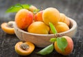 Fresh organic apricot