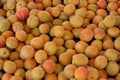 Fresh Organic apricotes
