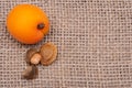 Fresh Organic Apricots and Apricot Kernels the seed of an apricot, often called a `stone` on natural burlap background. Royalty Free Stock Photo