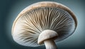 Fresh Organic Autumn Fungus Cap Growth ,generative AI