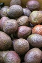 Fresh Organic Avocado Fruit Sell In The Market