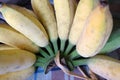 Fresh organic banana close up Royalty Free Stock Photo