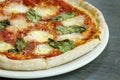 Fresh organic basil margherita pizza Royalty Free Stock Photo