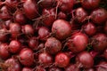 Fresh organic beet, beetroot as background. Local vegetables. Royalty Free Stock Photo