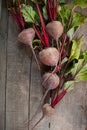 Bunch of fresh organic beetroot on wooden background. Concept of diet, raw, vegetarian meal. Farm, rustic and country Royalty Free Stock Photo