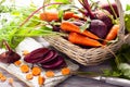 Fresh organic beetroot and carrot Royalty Free Stock Photo