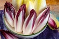 Fresh organic Belgian endivi or green and red chicory lettuce close up Royalty Free Stock Photo