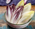 Fresh organic Belgian endivi or green and red chicory lettuce close up Royalty Free Stock Photo