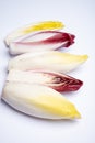 Fresh organic Belgian endivi or green and red chicory lettuce close up isolated on white background Royalty Free Stock Photo