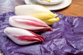 Fresh organic Belgian endivi or green and red chicory lettuce close up on purple paper Royalty Free Stock Photo