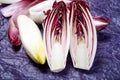 Fresh organic Belgian endivi or green and red chicory lettuce close up Royalty Free Stock Photo