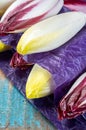 Fresh organic Belgian endivi or green and red chicory lettuce close up Royalty Free Stock Photo