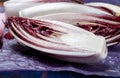 Fresh organic Belgian endivi or green and red chicory lettuce close up Royalty Free Stock Photo