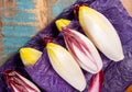 Fresh organic Belgian endivi or green and red chicory lettuce close up Royalty Free Stock Photo