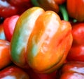 Fresh organic bell peppers capsicum Royalty Free Stock Photo