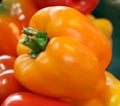 Fresh organic bell peppers capsicum Royalty Free Stock Photo