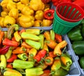 Fresh organic bell peppers capsicum Royalty Free Stock Photo