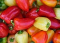 Fresh organic bell peppers Royalty Free Stock Photo