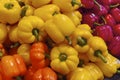 Fresh Organic Bell Peppers make Vibrant Colors in Vancouver's Grandville Island Market Royalty Free Stock Photo