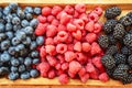 Fresh organic berries - blackberries, raspberries, blueberries on a wooden board Royalty Free Stock Photo