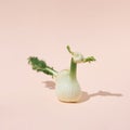 Fresh organic bird shaped fennel vegetable isolated on pink background