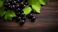 Fresh Organic Blackcurrant Berry Horizontal Background.