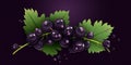 Fresh Organic Blackcurrant Berry Horizontal Trendy Illustration.
