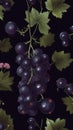 Fresh Organic Blackcurrant Berry Vertical Background Illustration.